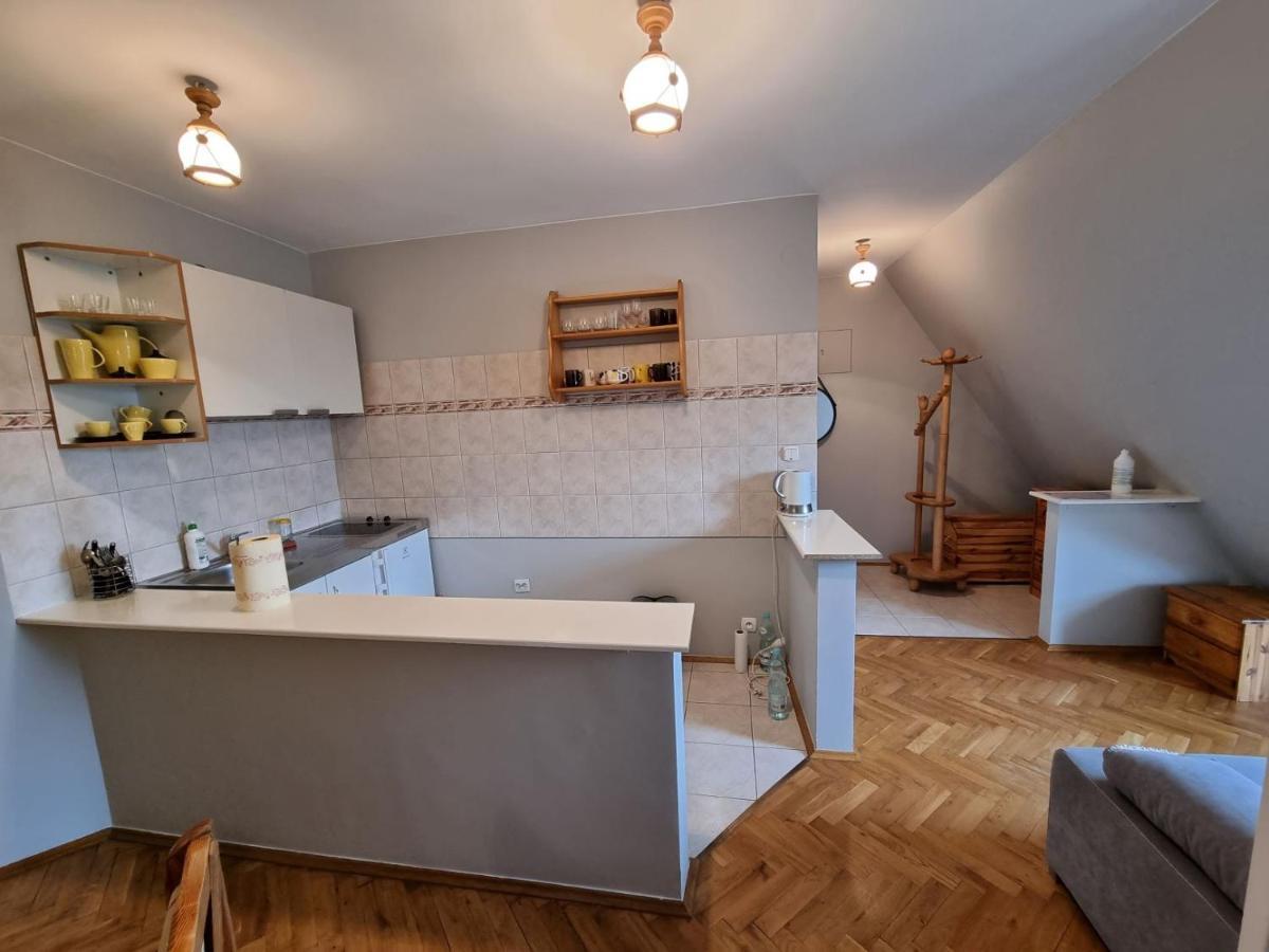 Apartament Droga Na Bystre 9A Zakopane Kültér fotó
