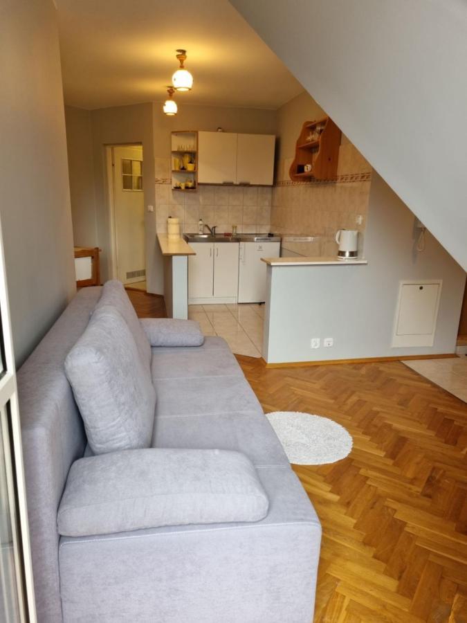 Apartament Droga Na Bystre 9A Zakopane Kültér fotó